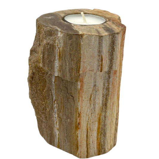 Single tall petrified wood candle holder – sculptural tea light display piece