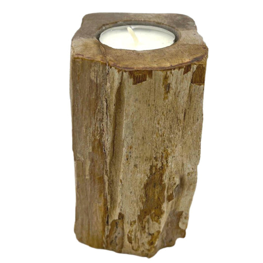 Single tall petrified wood candle holder – sculptural tea light display piece