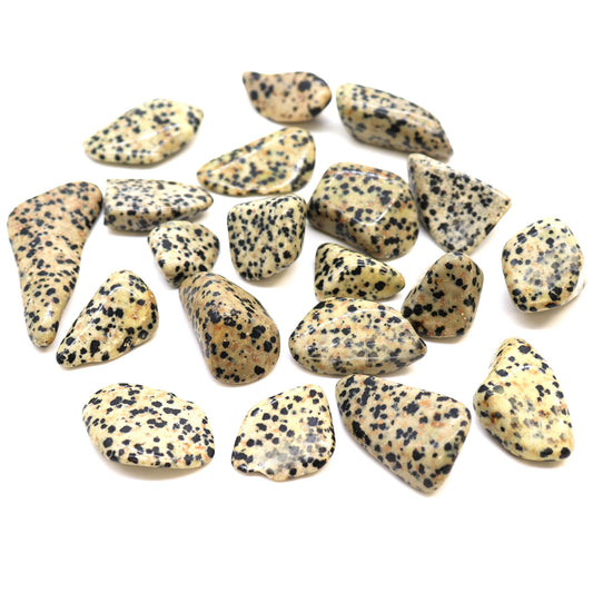 Large tumbled Dalmatian Stone crystal – cream and black spotted stone for joy and grounding

